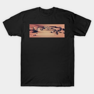 Sandy Beach and Rocks T-Shirt